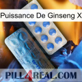 Ginseng Power X 40